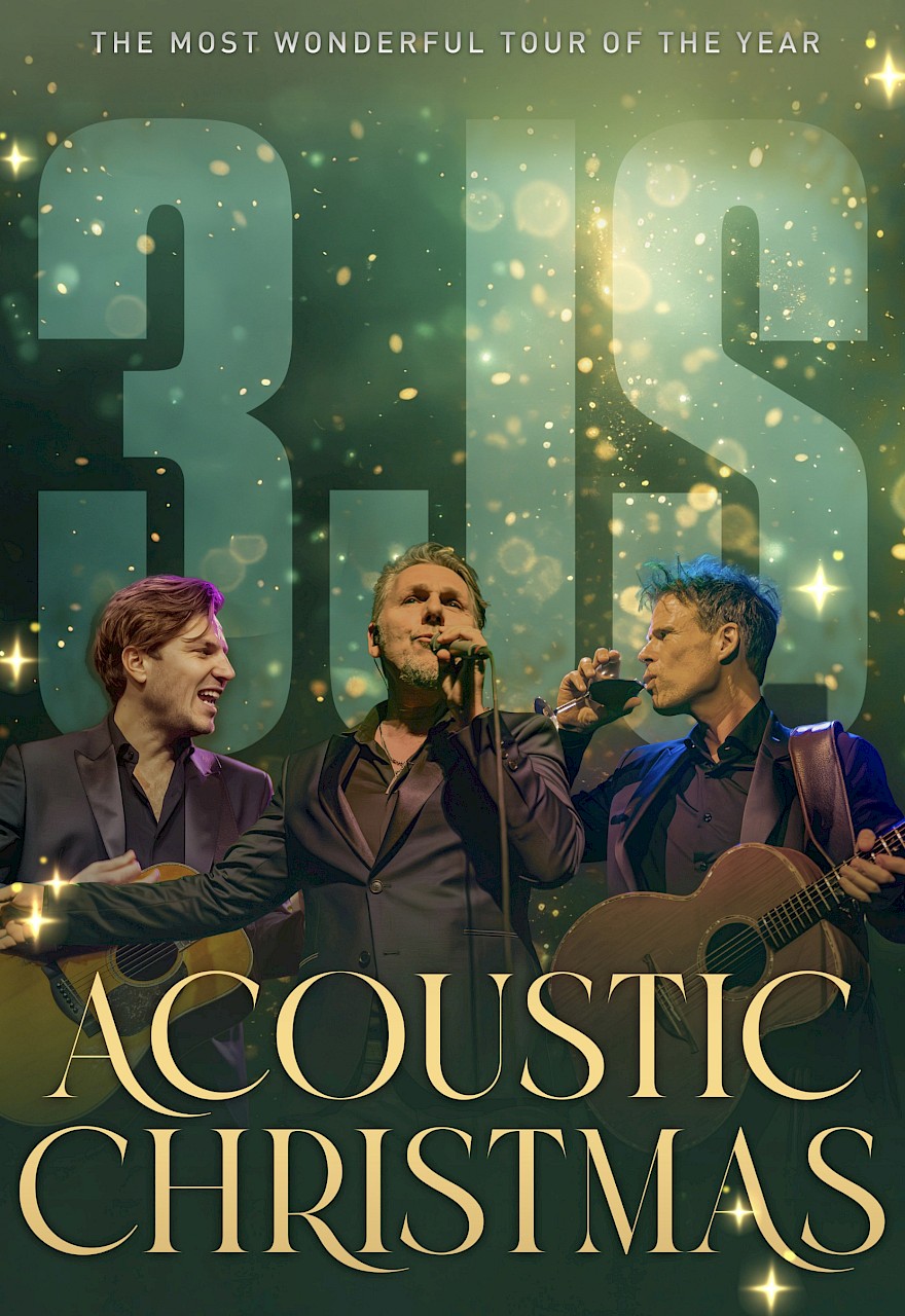 3JS — Acoustic Christmas soirée